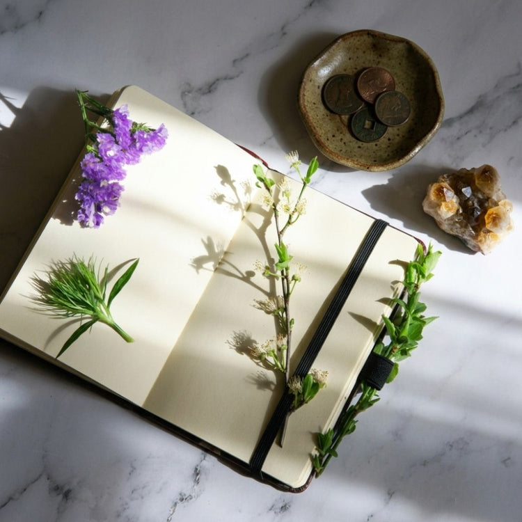 An open cream-colored notebook with a black elastic closure, styled on a white marble surface with decorative botanical sprigs, purple flowers, coins in a ceramic dish, and a small crystal cluster. Sunlight casts soft shadows across the pages.