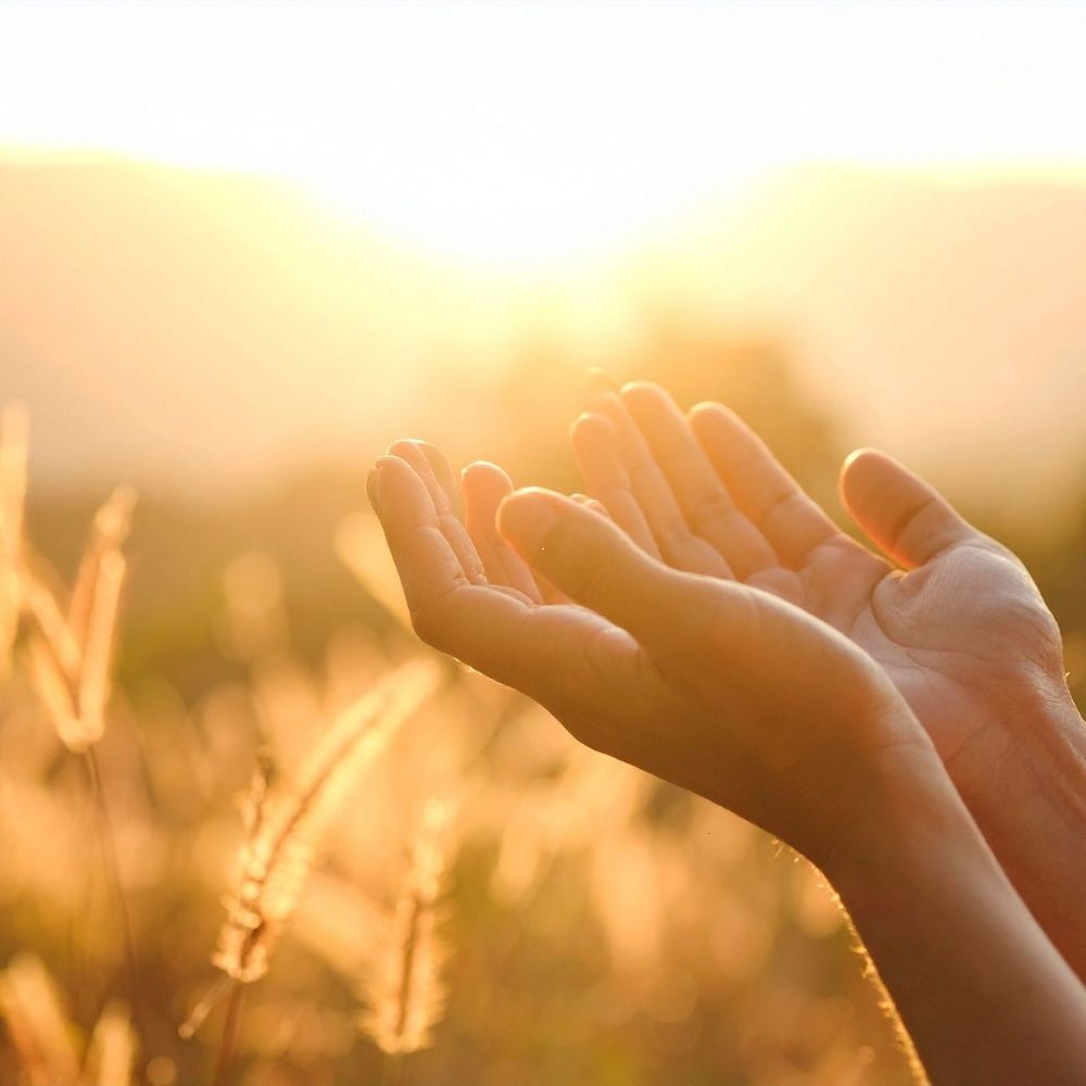 Two human hands raised in front of a bright sunlit outdoor field, with warm golden light and blurred grass in the background.