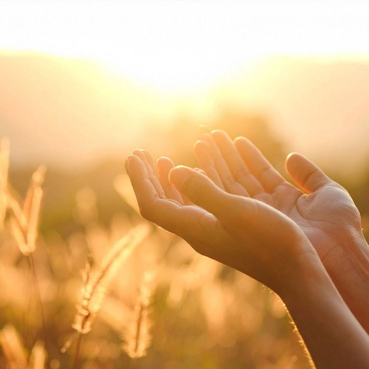 Two human hands raised in front of a bright sunlit outdoor field, with warm golden light and blurred grass in the background.