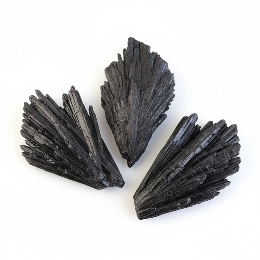 Black Kyanite natural crystal shown on a clean light background