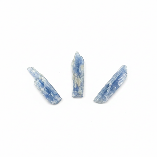 Blue Kyanite Blades natural crystal shown on a clean light background