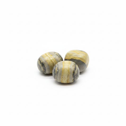 Polished yellow, orange, black, and gray Bumble Bee Jasper tumbled stones on a clean white background.