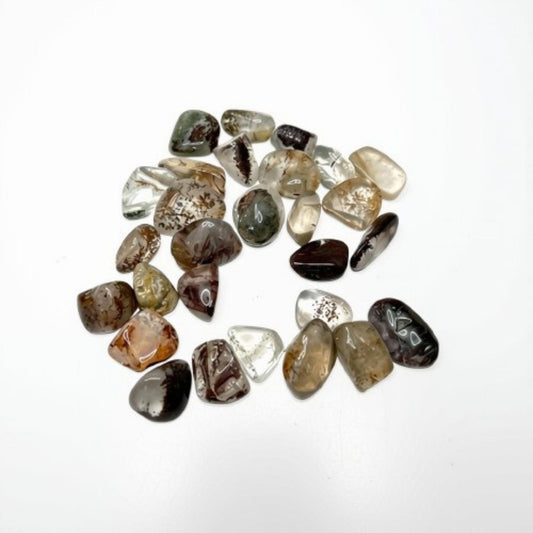 Garden Quartz tumbled stones with natural brown, smoky, and clear inclusions on a white background — Lodolite Shamanic Dream Stone from Prana Blessings