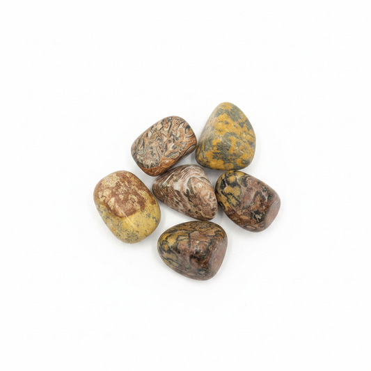 Leopardskin Jasper Tumbled shown clearly on a clean white background, highlighting its color, shape, and natural variation.