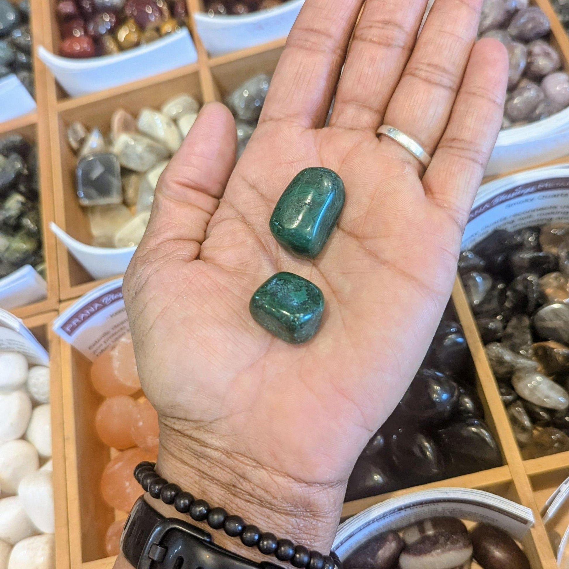 Two polished malachite tumbled crystals held in a person's open palm, with a display of various raw and polished stones in wooden trays in the background.