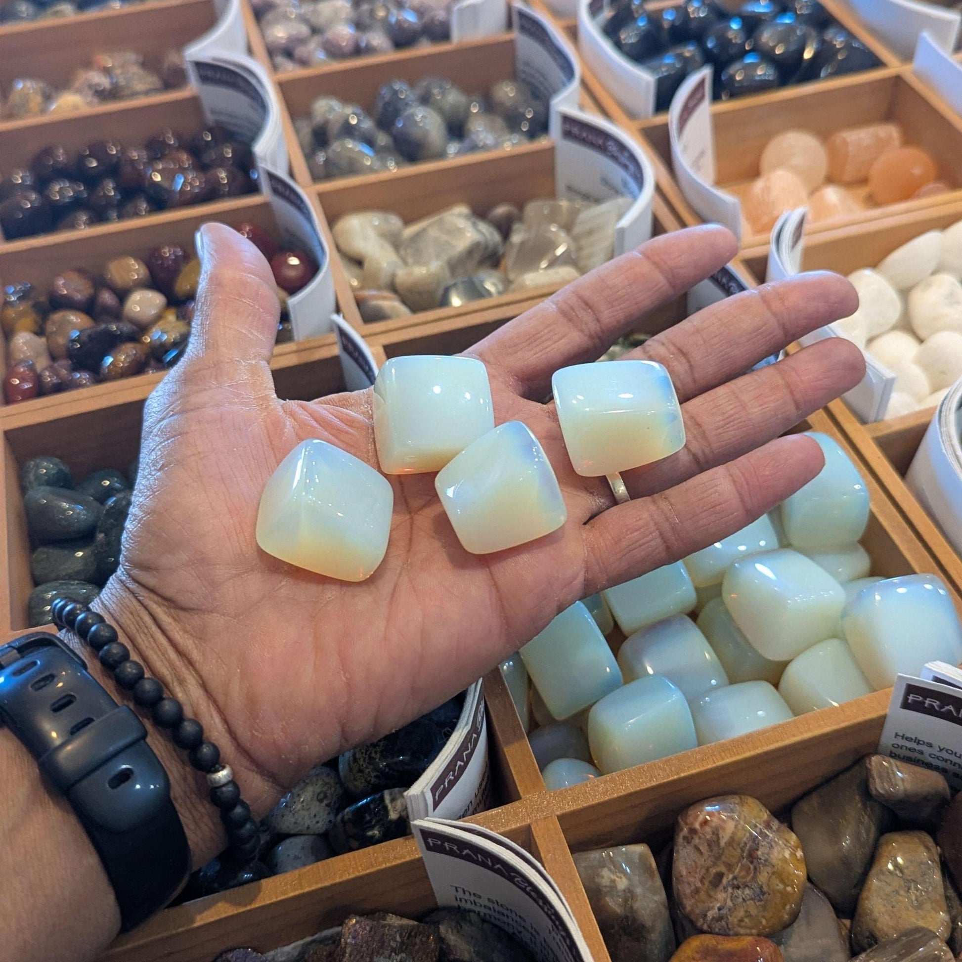 Four smooth, rounded opalite stones held in a person's hand, with a display of various polished gemstones and crystals in wooden trays in the background.