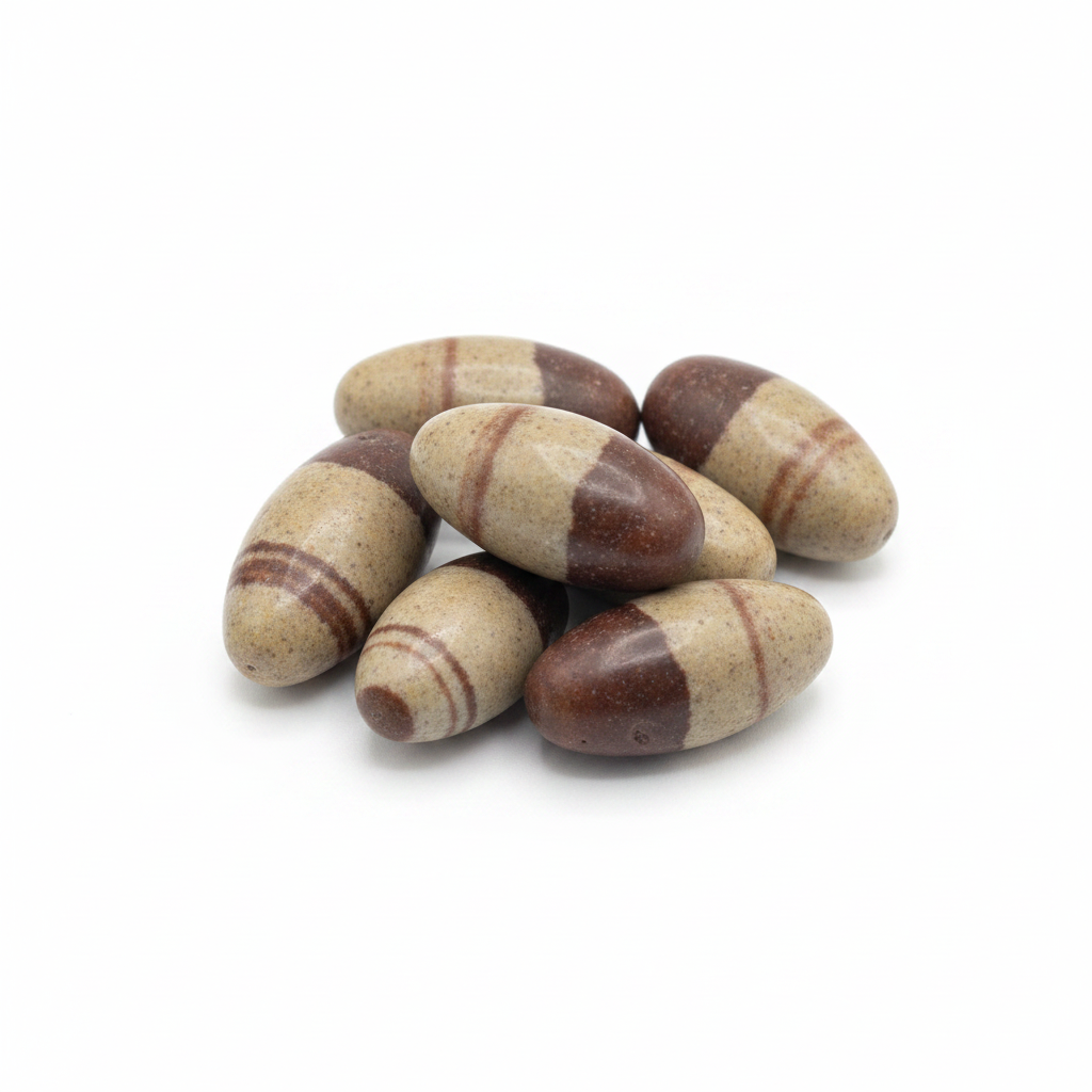 Shiva Lingam shown clearly on a clean white background, highlighting its color, shape, and natural variation.
