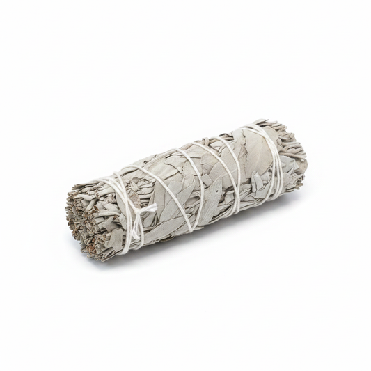 California White Sage 3–4 inch bundle on a white background