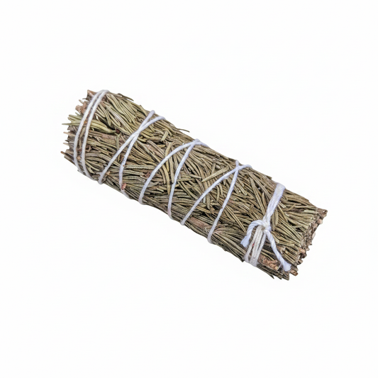 Rosemary botanical bundle 3–4 inches long on a white background