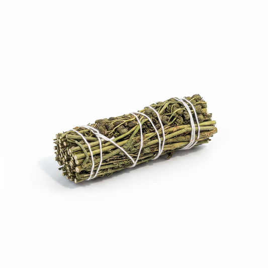 Ruda Rue botanical bundle approximately 4 inches long on a white background